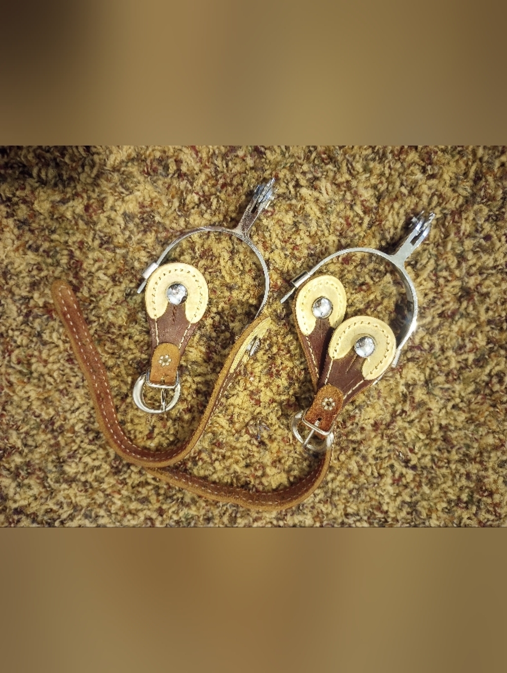 Leather Horse riding Spurs